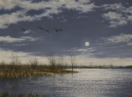 Geoffrey Campbell-Black Greylags under a December moon, 20 x 16in.
